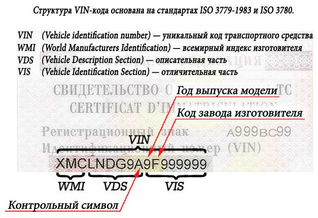 Полный вин код. Структура VIN кода автомобиля. VIN номер Страна производитель. Год выпуска по VIN коду. VIN номер структура.