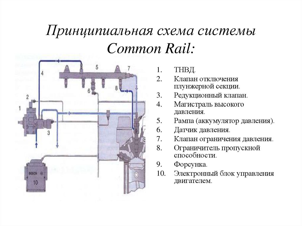 Топливная система дизельного двигателя common rail схема устройства