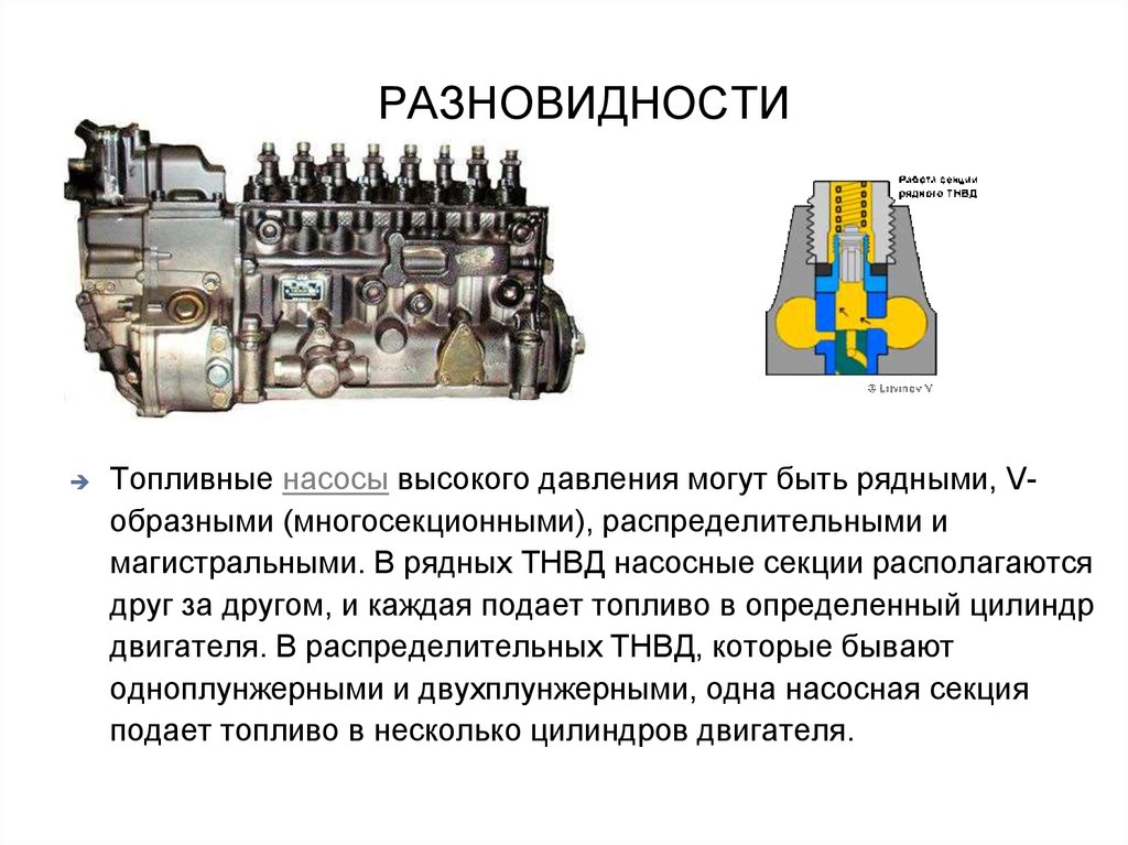 Виды агрегатов. Устройство рядного ТНВД дизельного двигателя. Рядный ТНВД схема. Топливная секция ТНВД рядного типа. Принципиальная схема ТНВД.