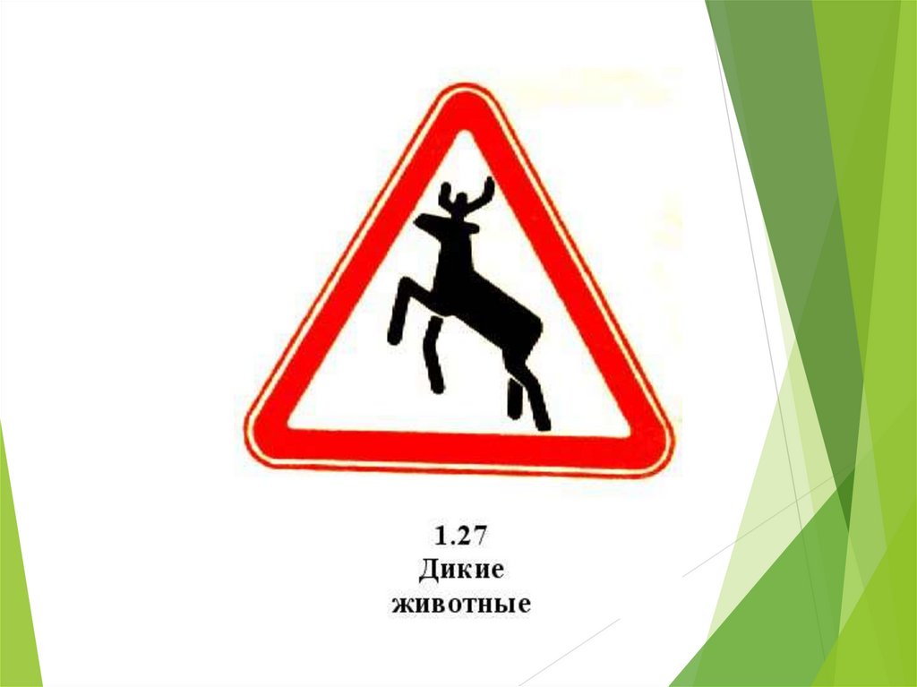 Одиночные знаки. Дорожные знаки. Предупреждающие знаки. Дорожные предупреждающие для детей. Знаки на дороге.