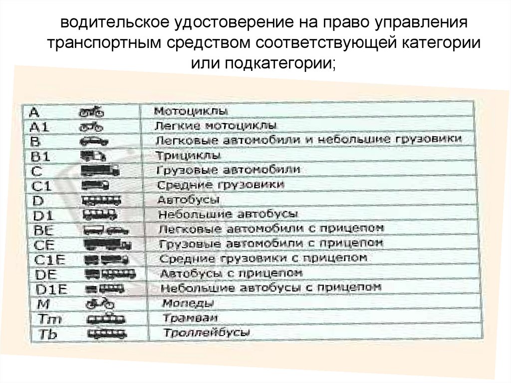 Что означает категория в1 в правах нового образца