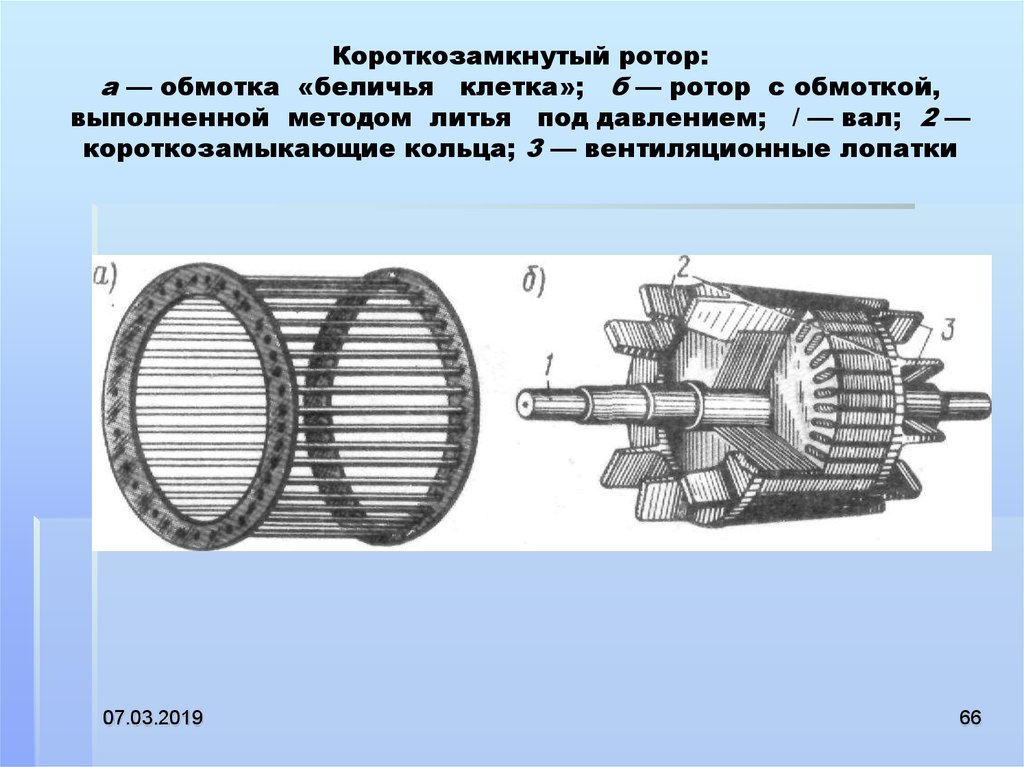 Расчет короткозамкнутого ротора