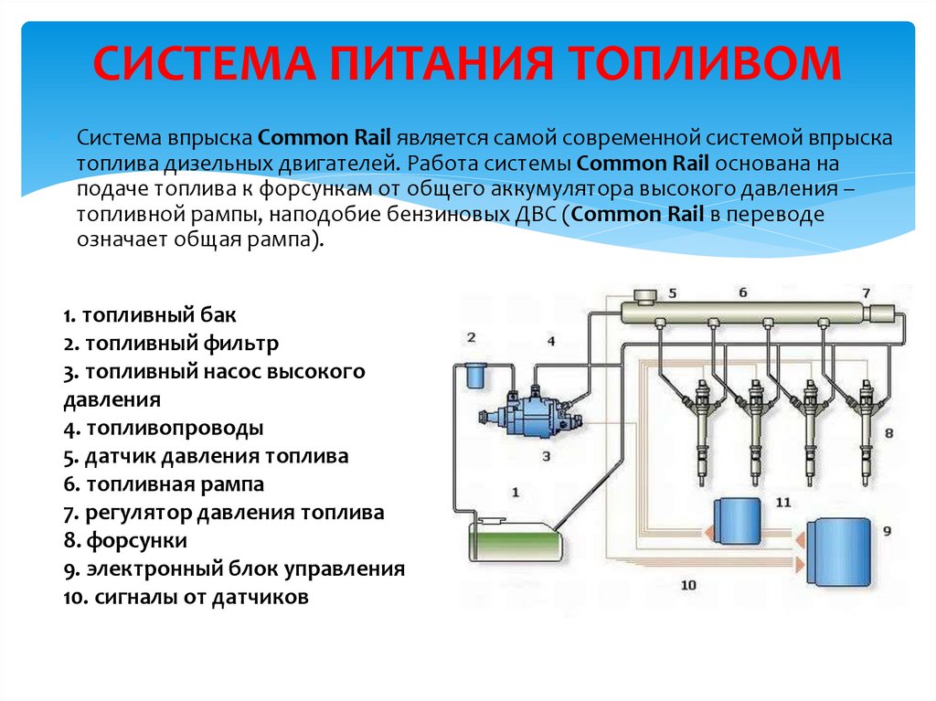 Коммон рейл принцип. Система питания дизеля common Rail. Система питания дизельного двигателя Коммон рейл. Схема системы питания дизельного двигателя common Rail. Система питания современного дизельного двигателя.