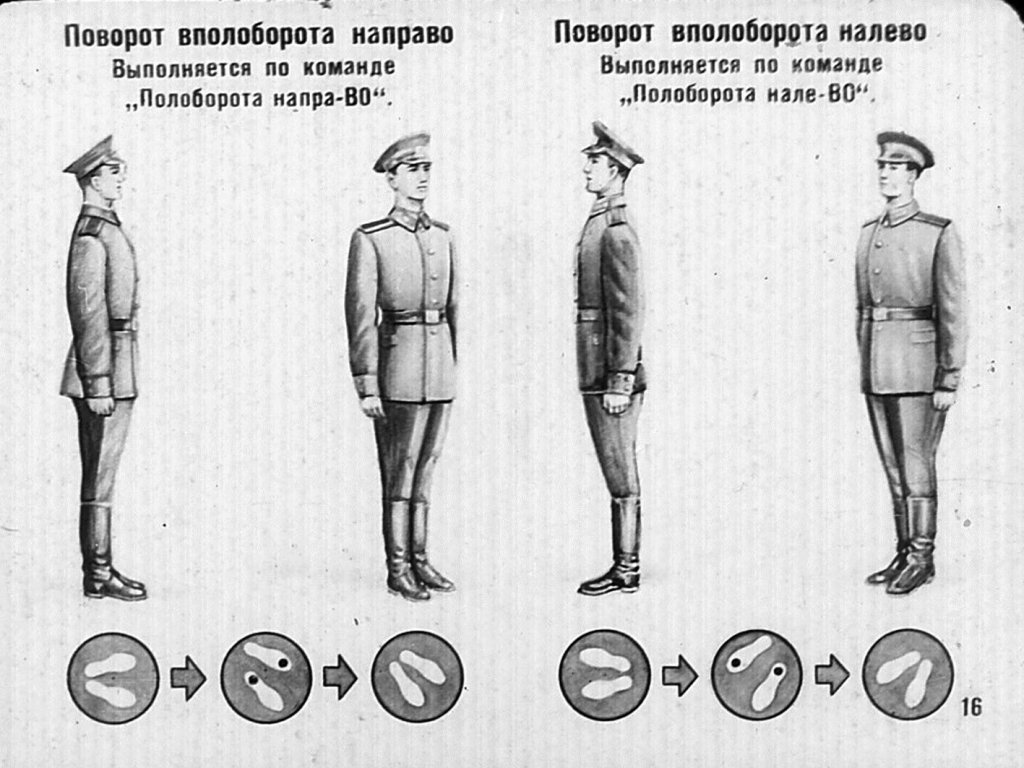 Команда кругом в движении. Строевые приемы и движение без оружия. Повороты в строю. Строевые приемы повороты на месте. Строивые приёмы и движение без оружия.