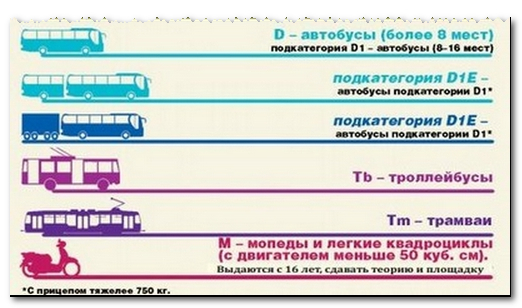 Категория в пассажирских мест. Категория водителя трамвая. Категория автобуса.