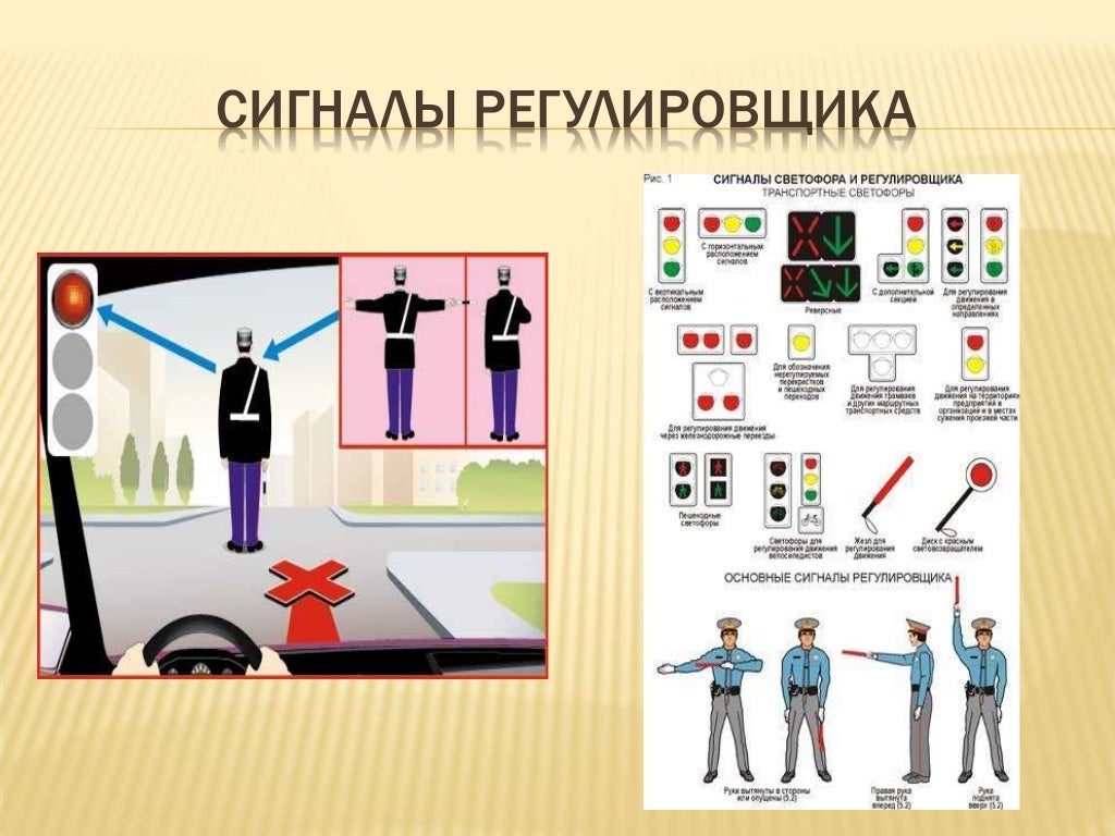 Сигналы военного регулировщика в картинках с пояснениями