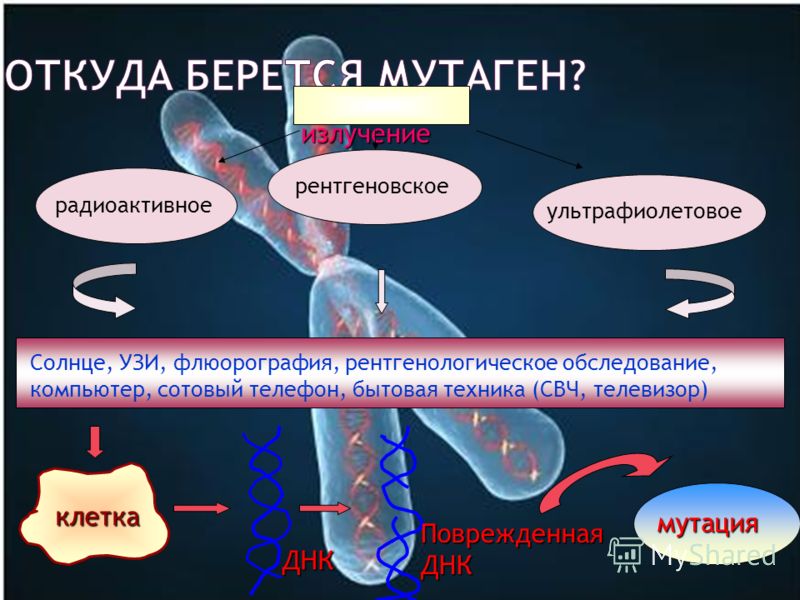 Откуда берется энергия у человека. Мутагены ДНК. Откуда берется мутаген. Мутации и мутагены.