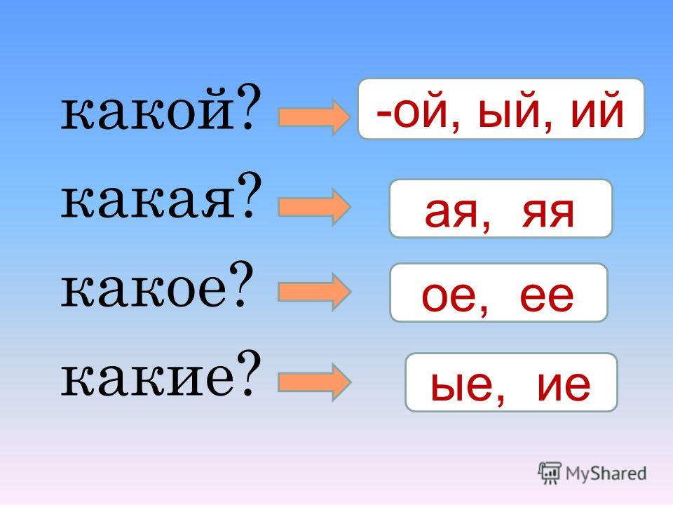 В какой паре 2. Какой какая какое какие. Какой какая. Какой какая како́е. Какой какое.