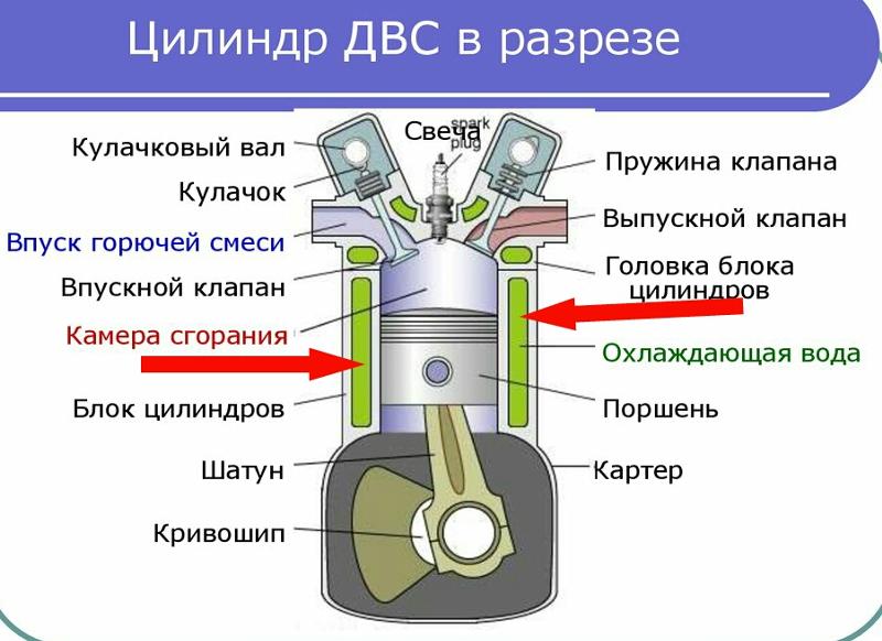 Двс рисунок разрез