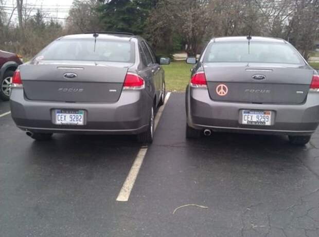 Вижу одинаковые номера. Автомобиль двойник. Машины Близнецы с одинаковыми номерами. Машины двойники с одинаковыми номерами. Машины для близнецов.