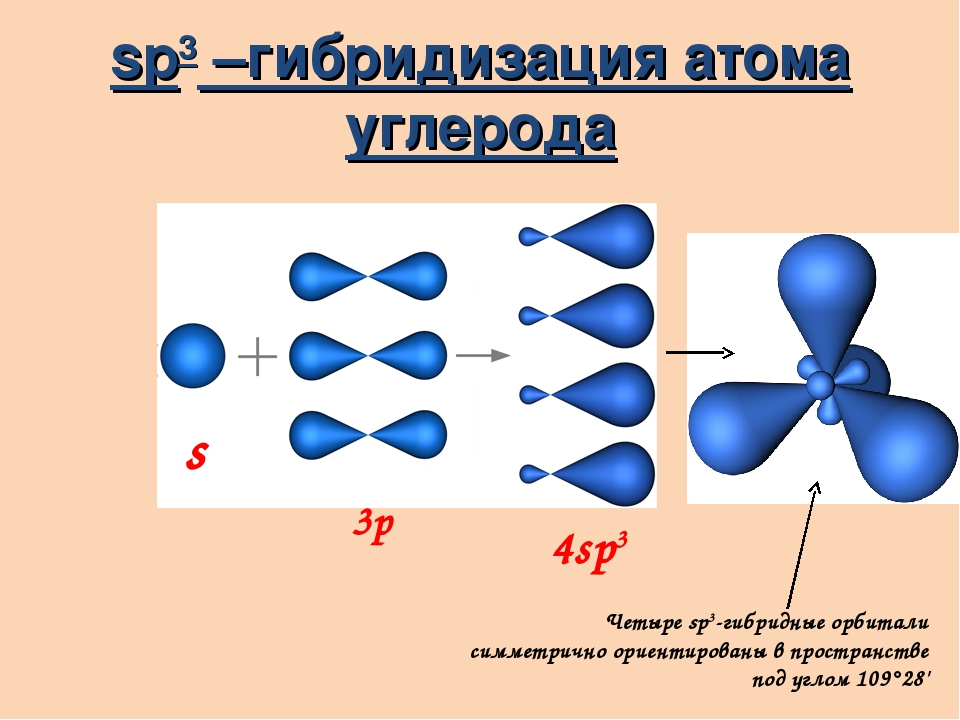 Тип гибридизации sp3. Sp2 и sp3 гибридизация углерода. Расположение sp2 гибридных орбиталей. SP sp2 sp3 гибридизация атома углерода. Гибридные sp3 орбитали атома углерода образуют.