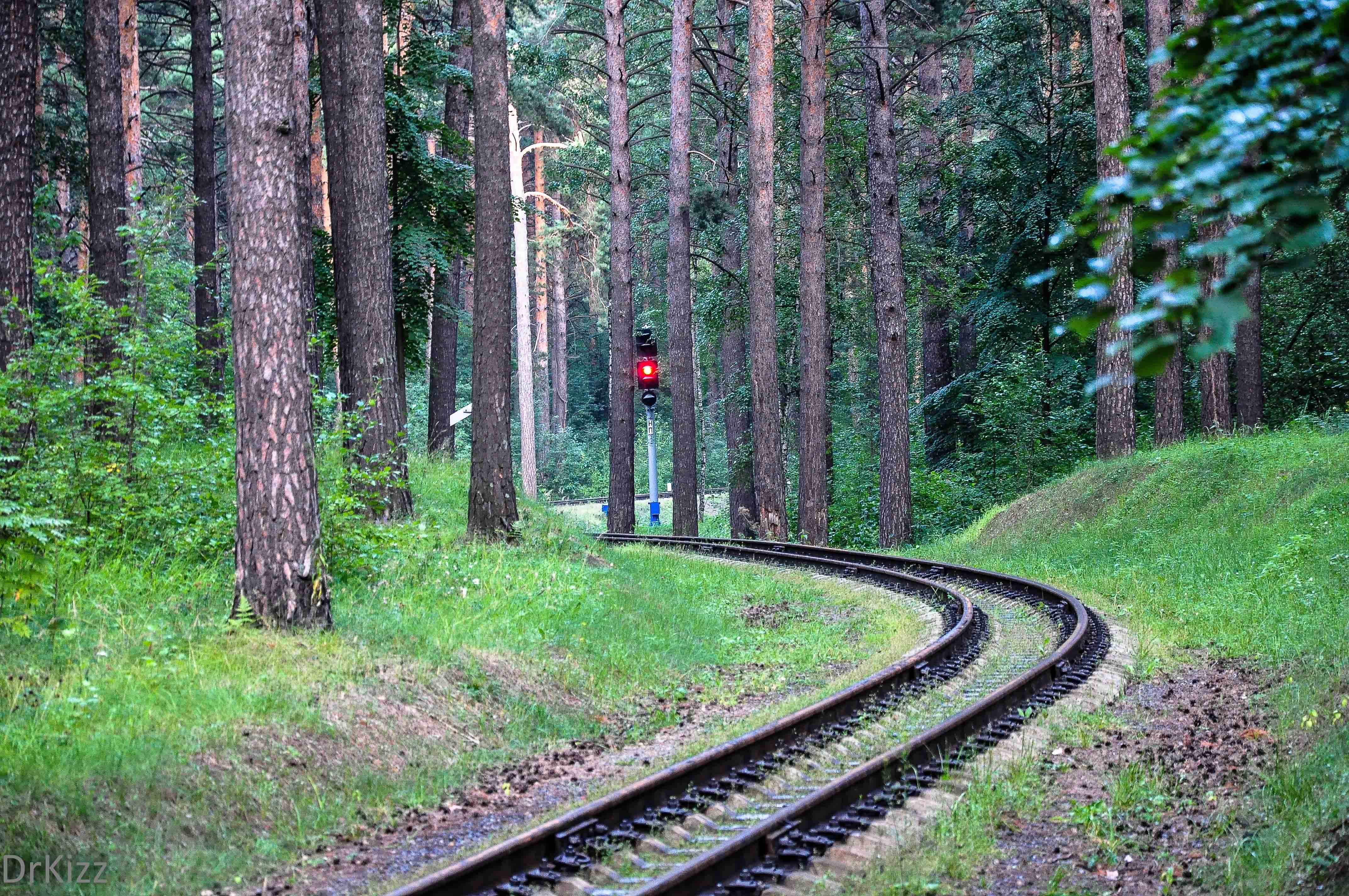 Колея 5 букв. Колея. Колея в лесу. Колея картинки. Колейные дороги.