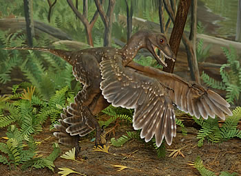 Картинки по запросу Синорнитозавр