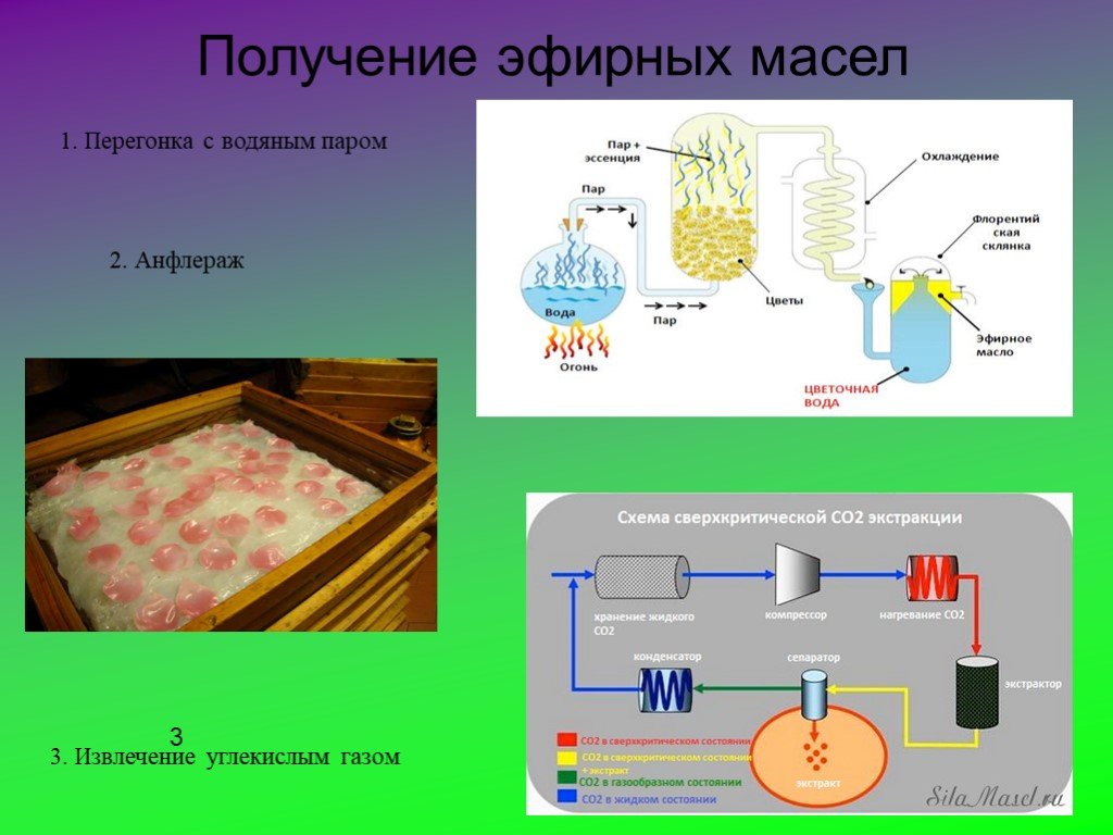 Получение вещества. Метод дистилляции эфирных масел. Способы получения эфирного масла метод экстракции. Схема дистилляции эфирных масел. Анфлераж (экстракция).