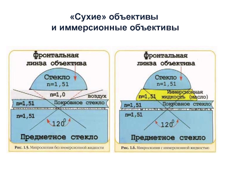 Иммерсионная микроскопия. Сухие и иммерсионные объективы. Иммерсионный объектив. Сухой и имиерсионный объект. Иммерсионная система.