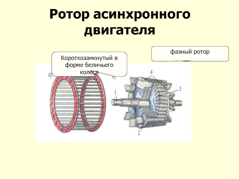 Нагрузка на ротор. Асинхронный двигатель с короткозамкнутым ротором. Асинхронный двигатель с фазным ротором. Синхронный двигатель с короткозамкнутым ротором. Ротор асинхронного электродвигателя (беличья клетка).