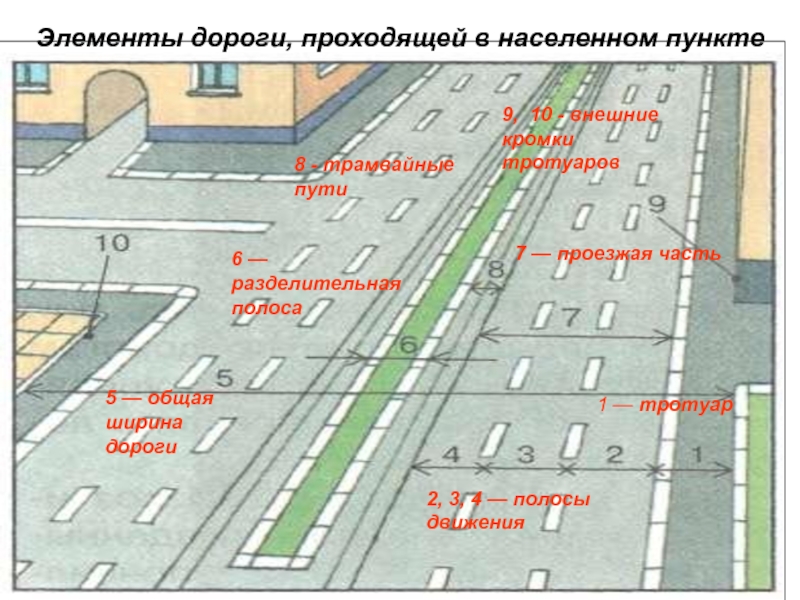 Рассмотрите схему дороги и напишите прямо на рисунке как называются части дороги