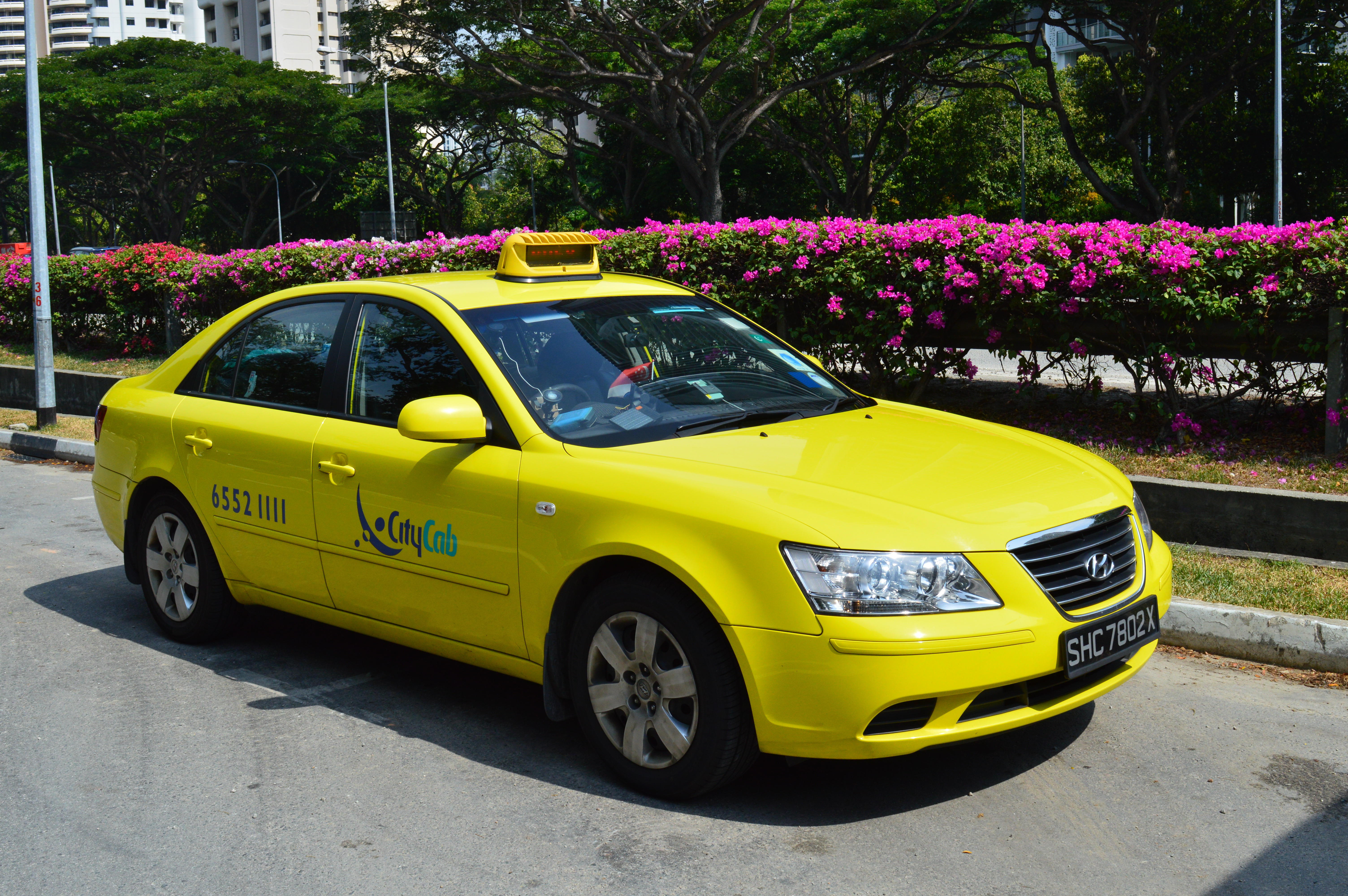 Желтая такси телефон. Форд Мондео 5 такси. Такси Форд Мондео 3. Такси Форд Мондео зелёный. Машина "такси".